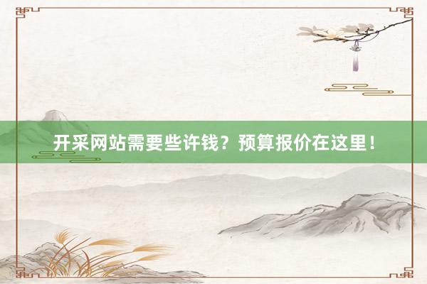 开采网站需要些许钱？预算报价在这里！